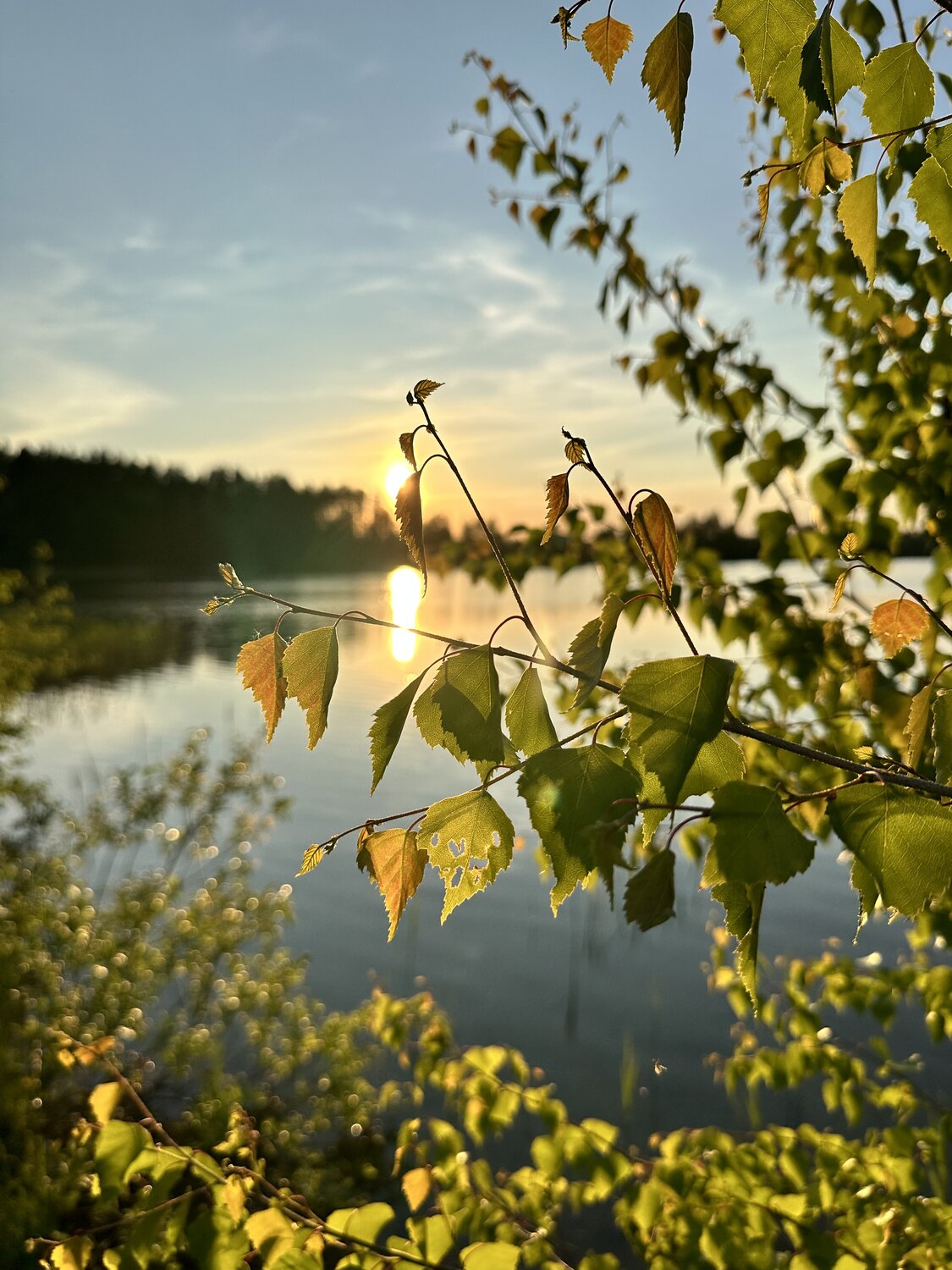 Photo #14111652