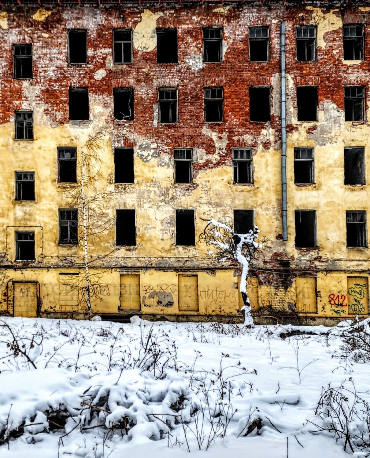 Photo #14111663