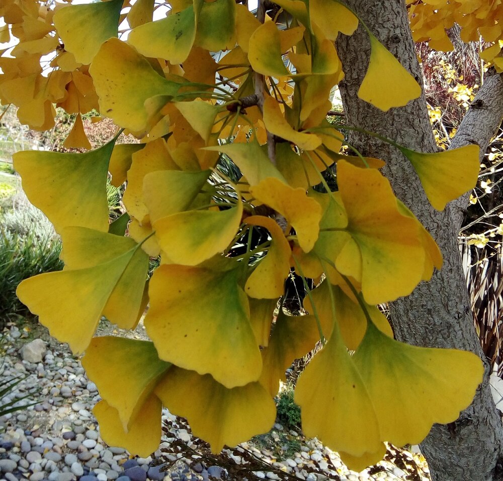 Photo #14111683