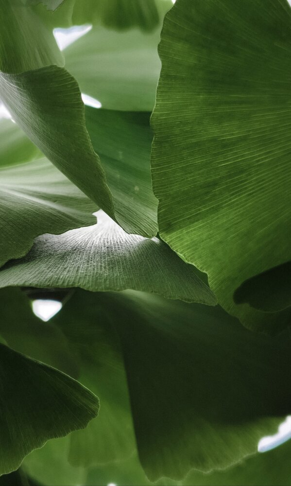 Photograph by Неро Миллена