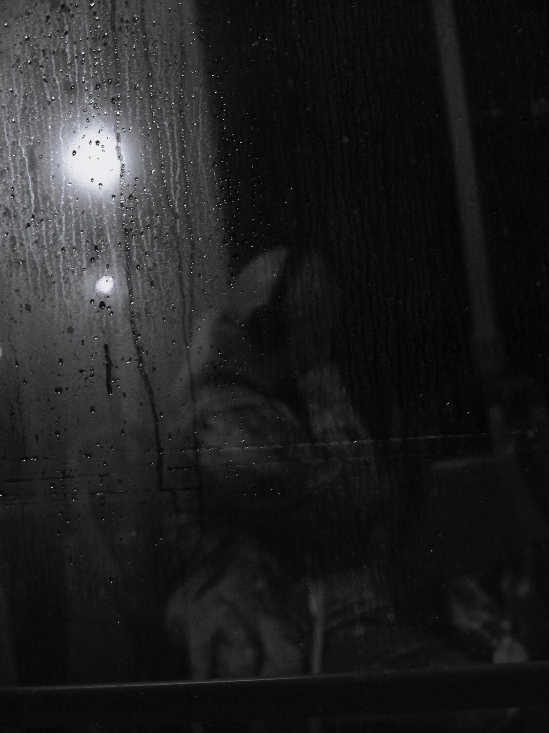 Photo #14111894