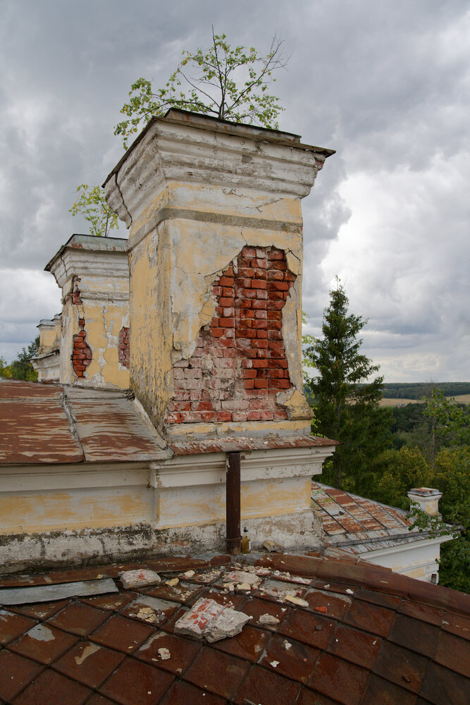 Photograph by Ян