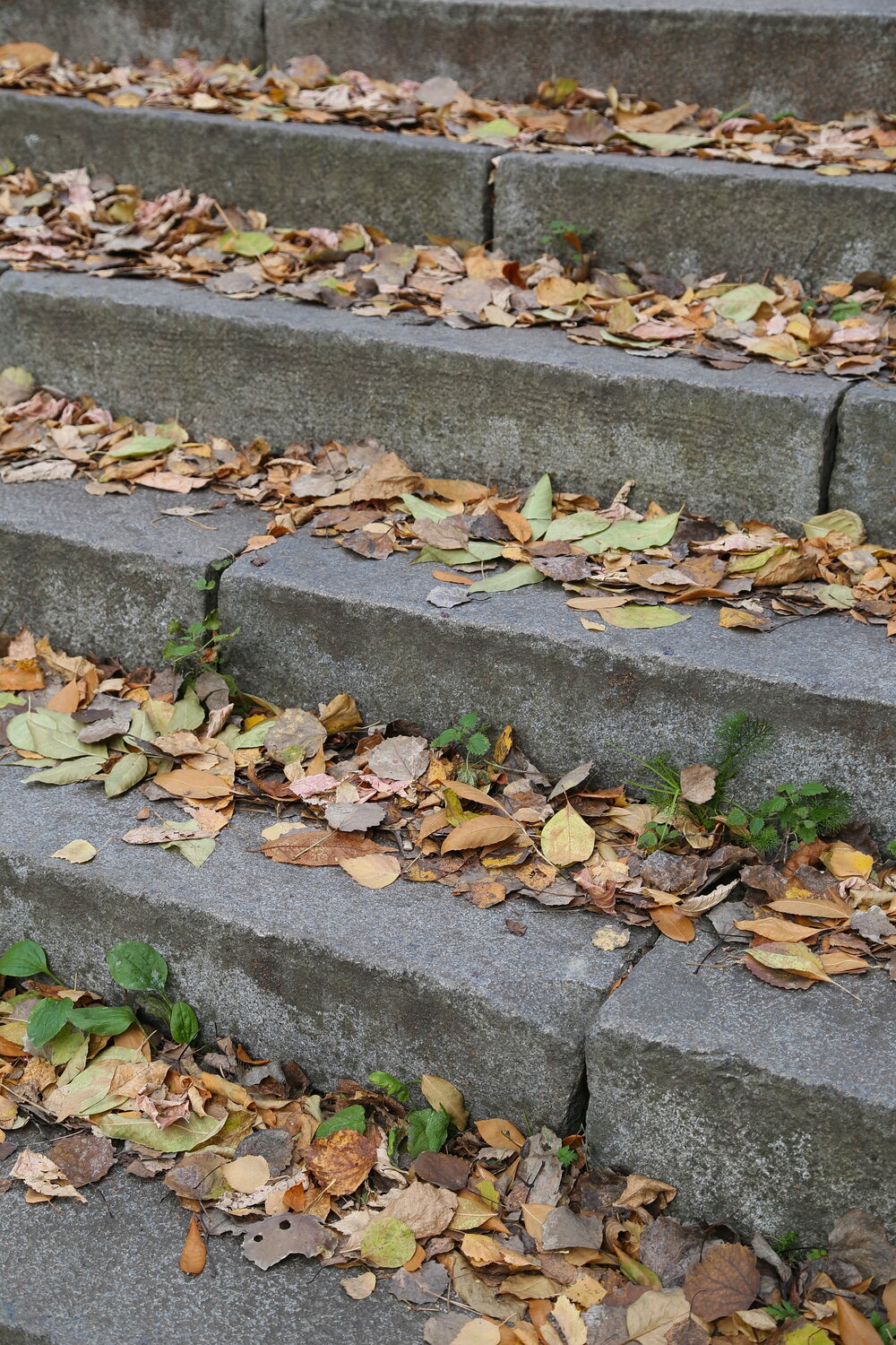 Photo #14112032