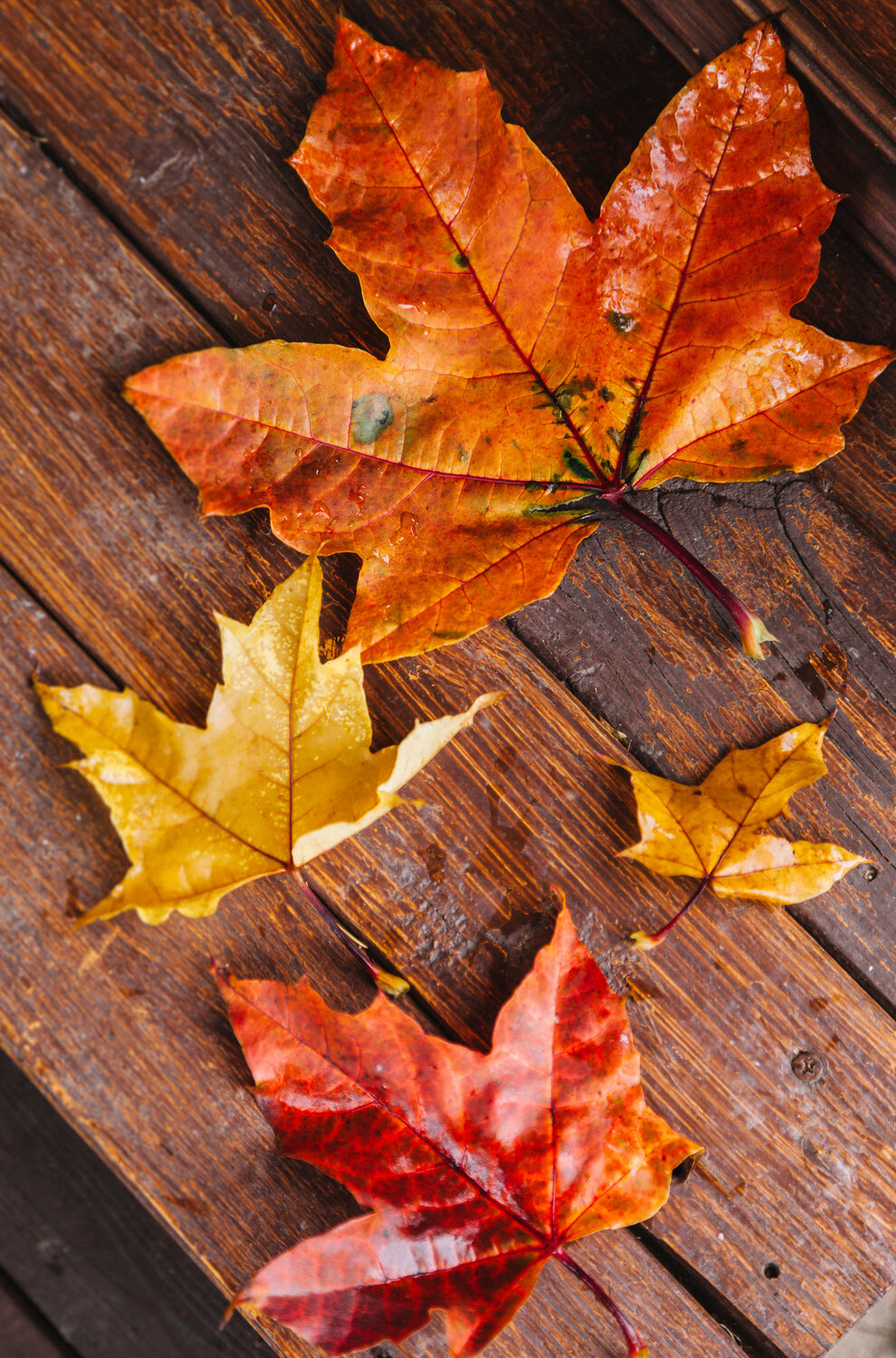 Photo #14112326