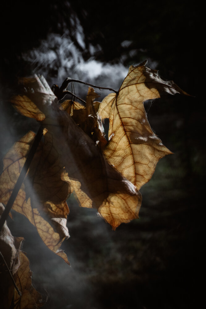 Photograph by Наталья Чурашова