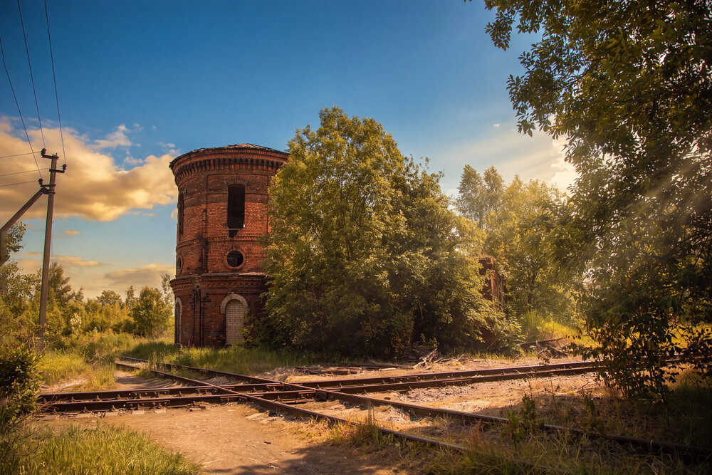 Фотография автора Ирина Ларина