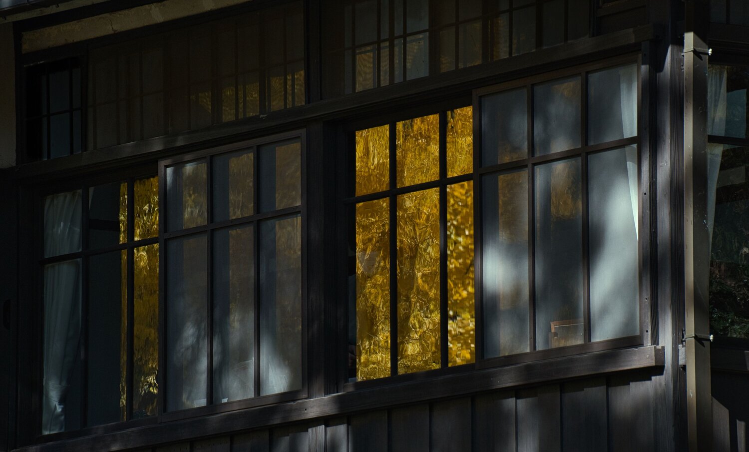 Autumn Foliage Reflected