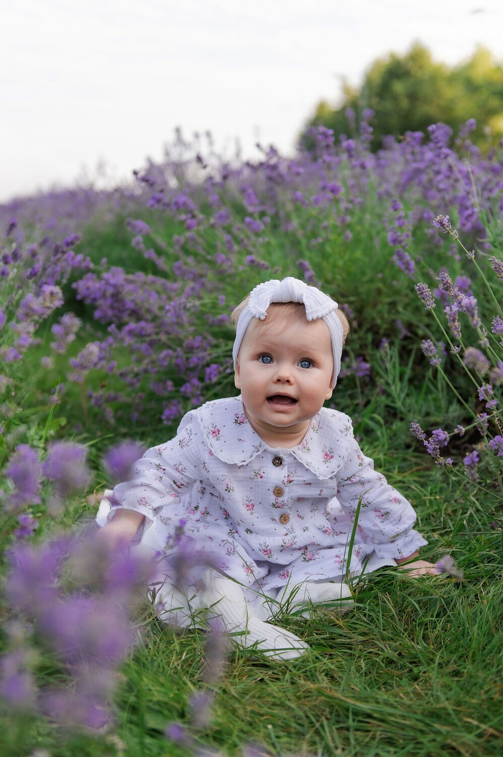 Photo #14112482
