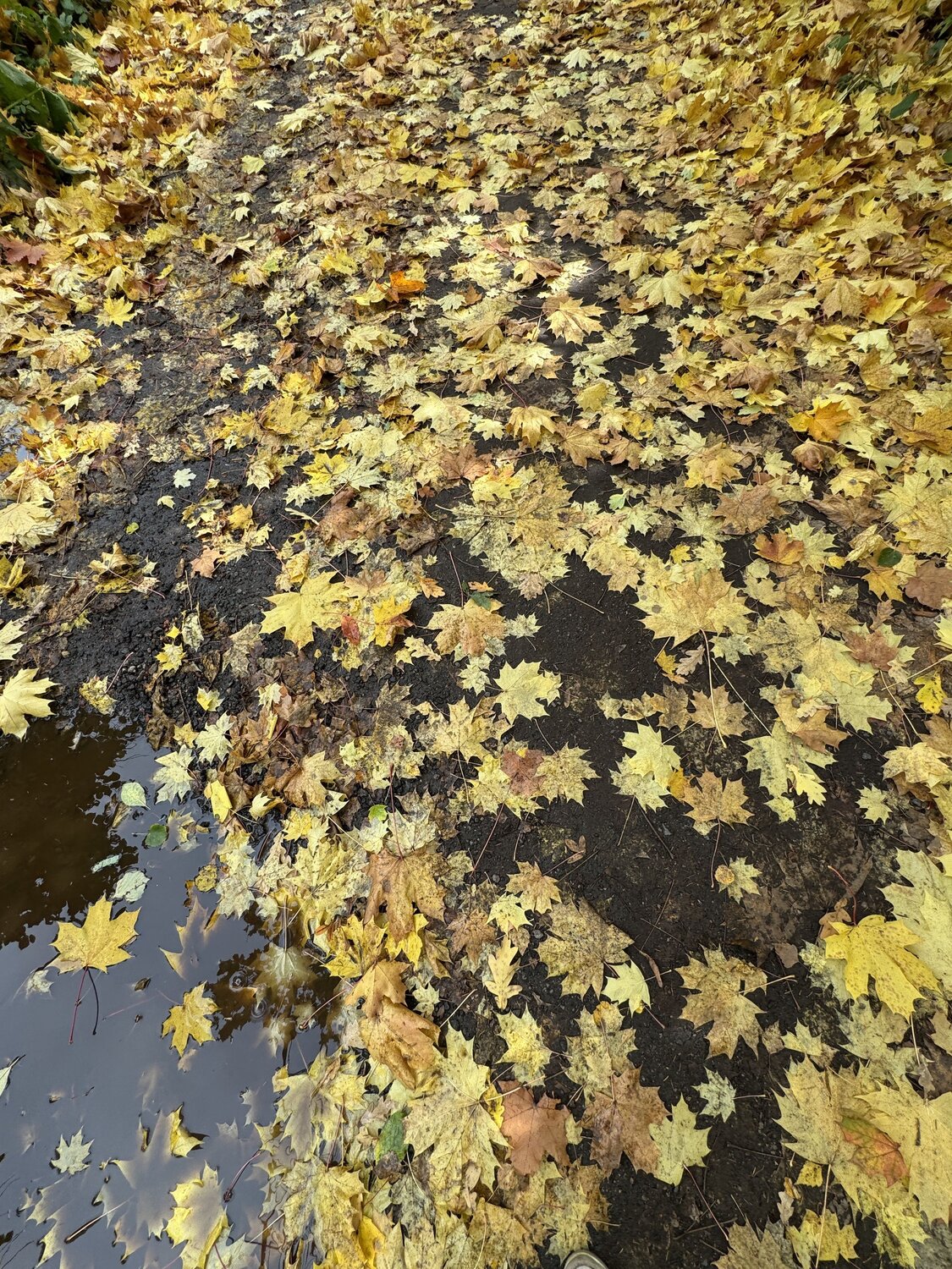 Photo #14112548