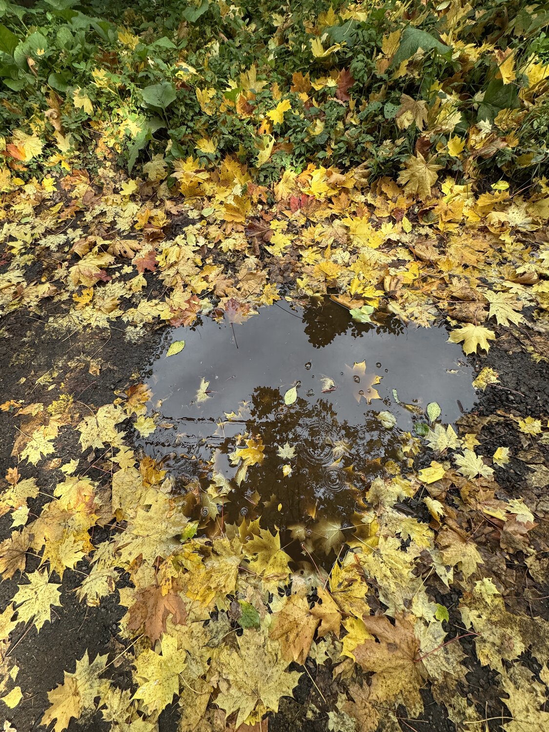 Photo #14112551