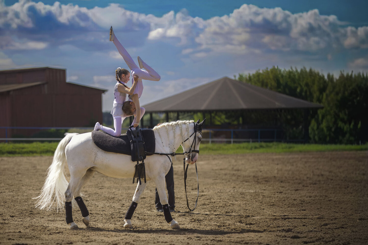 Photo #14112558