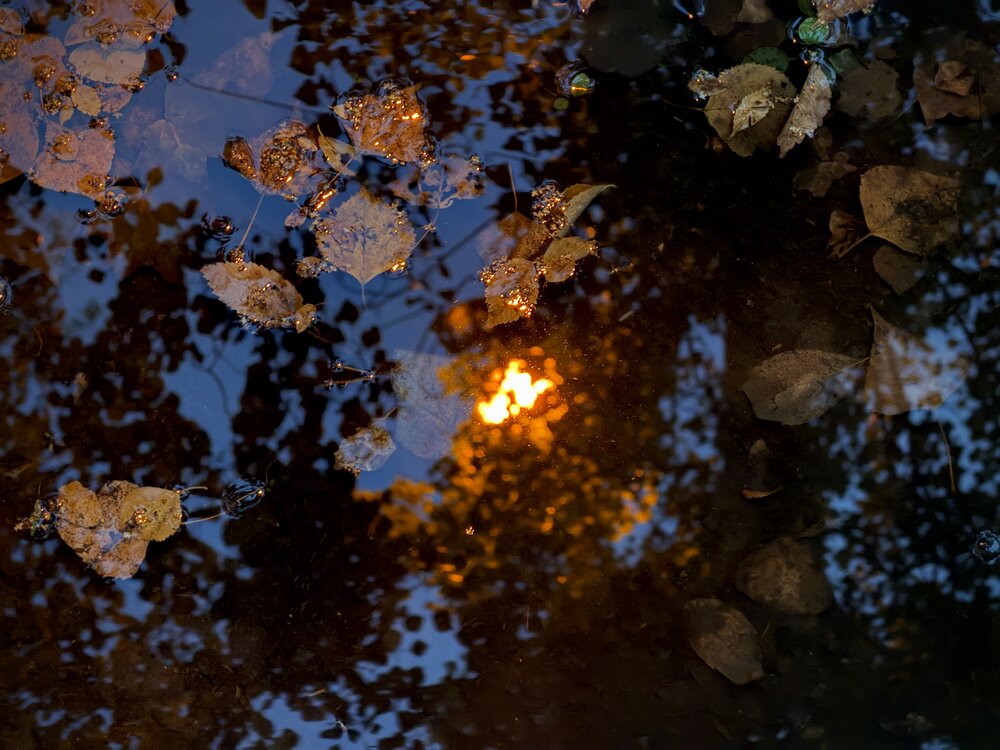 Photograph by Андрей Мещеряков