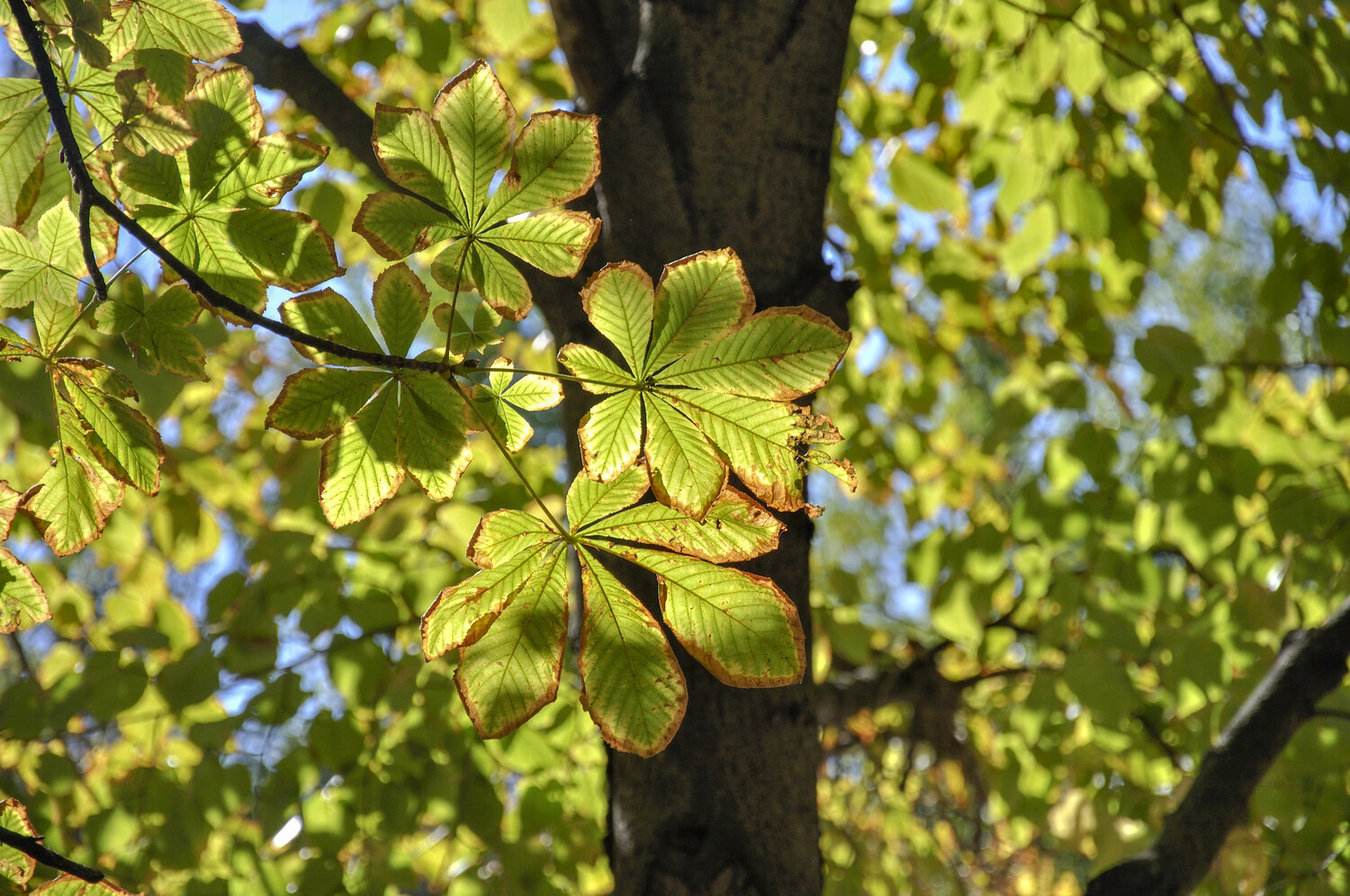 Photo #14112586