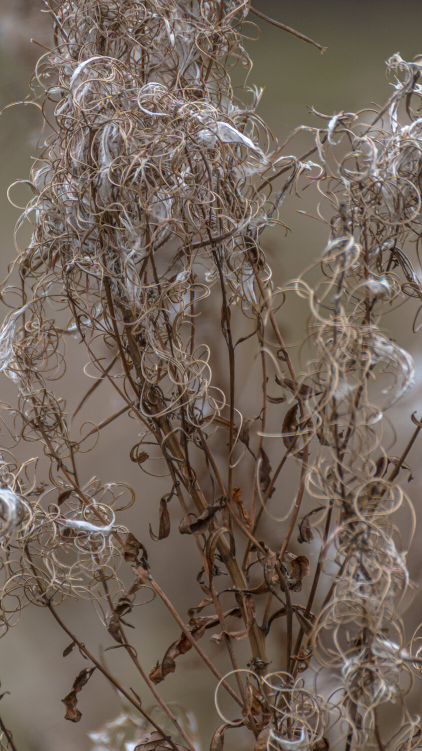 Photo #14112595
