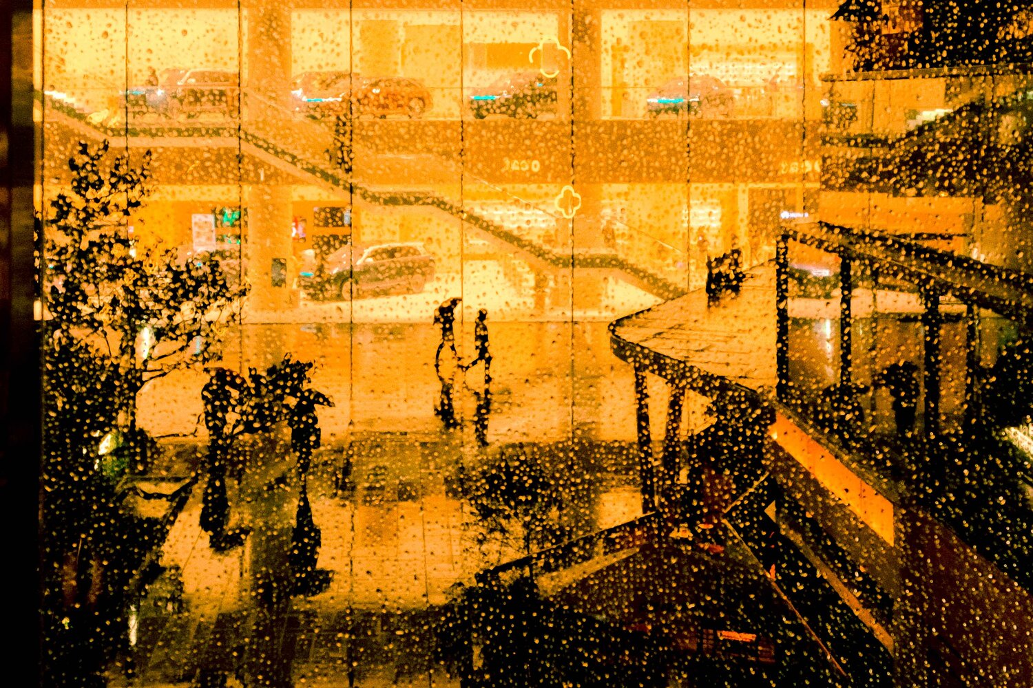 Photo #14112610