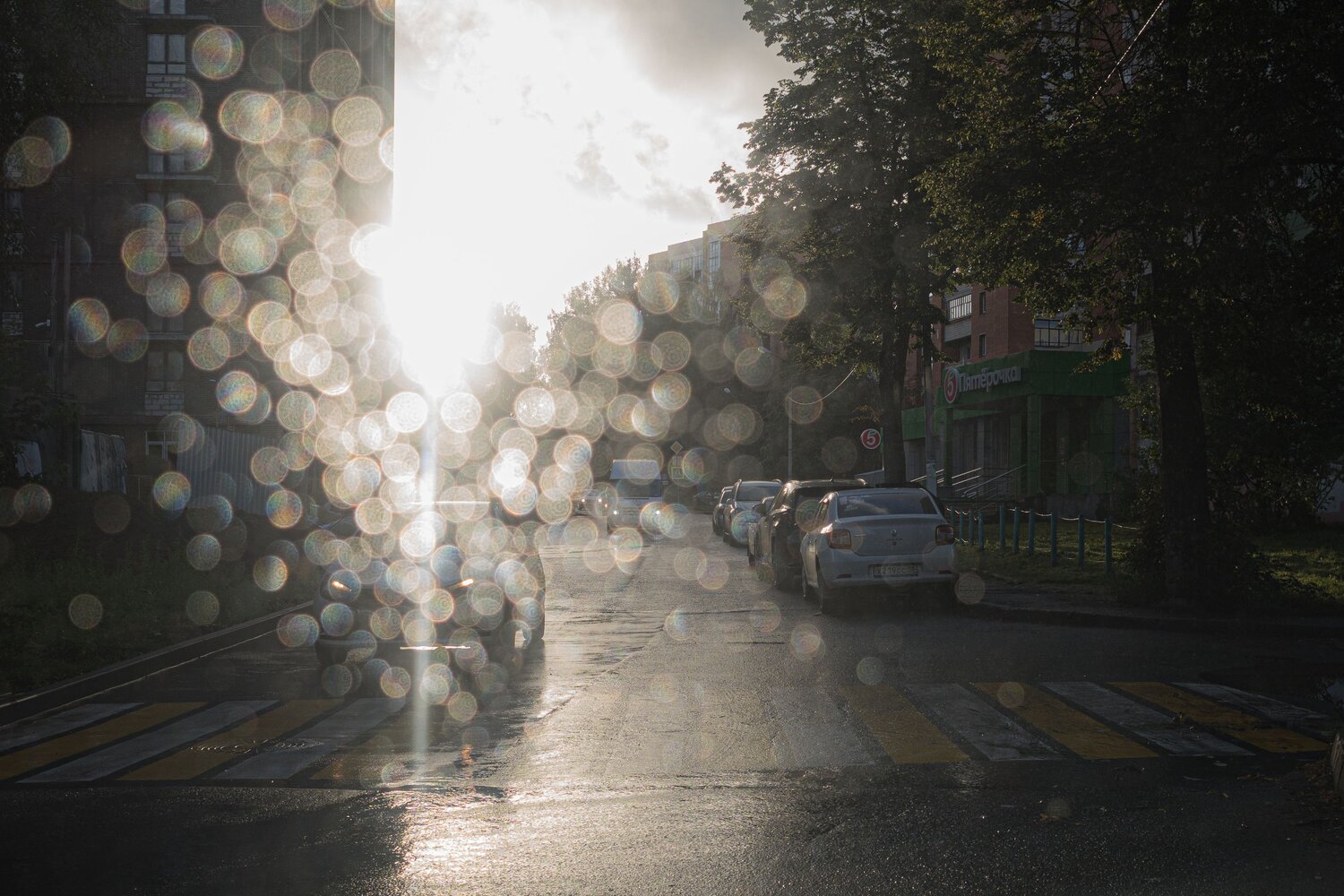 Photo #14112637