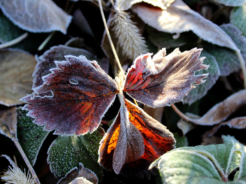 Photograph by Татьяна Пальчикова