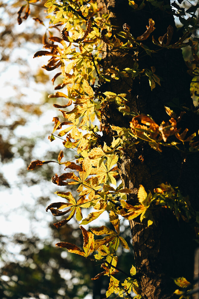 Photograph by Елена Ведьмак