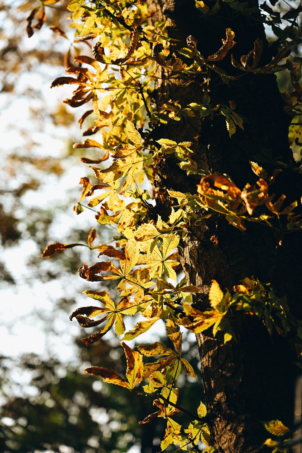 Photo #14112671