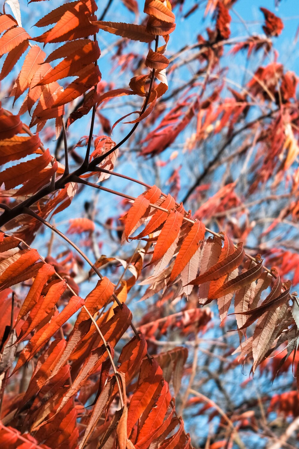Photo #14112672