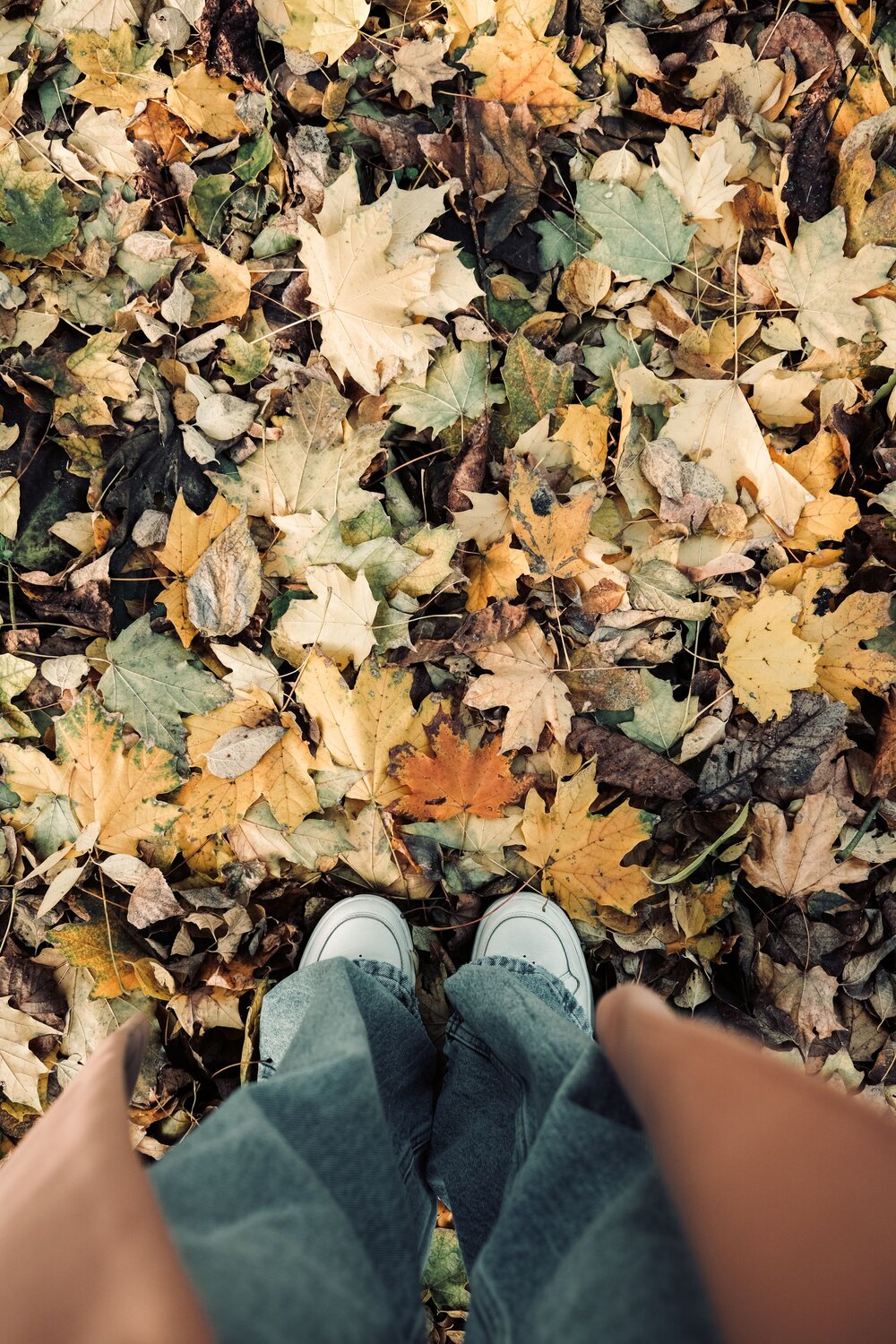 Photo #14112673