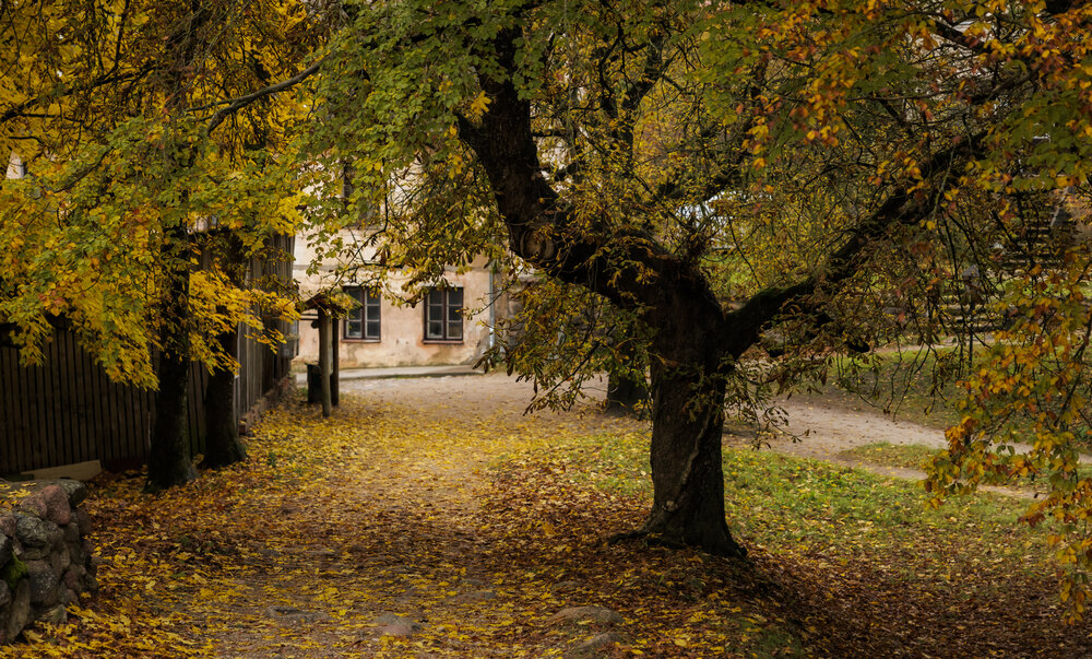 Kandavas pilsēta