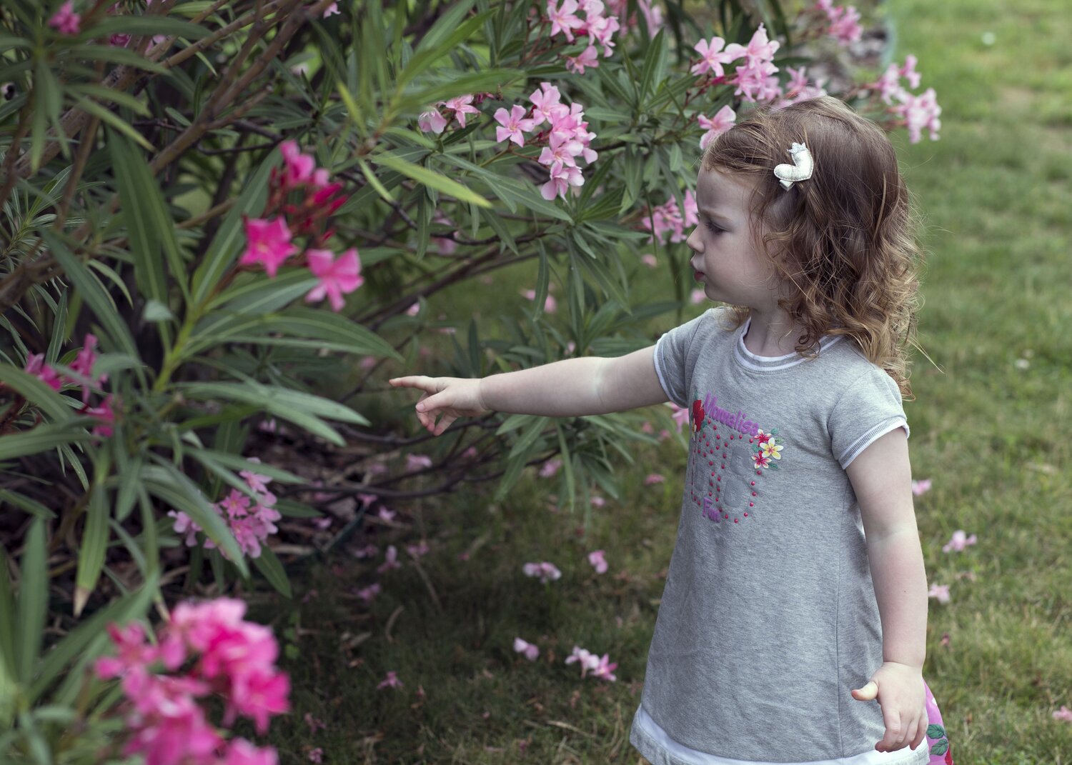 Photo #14112837