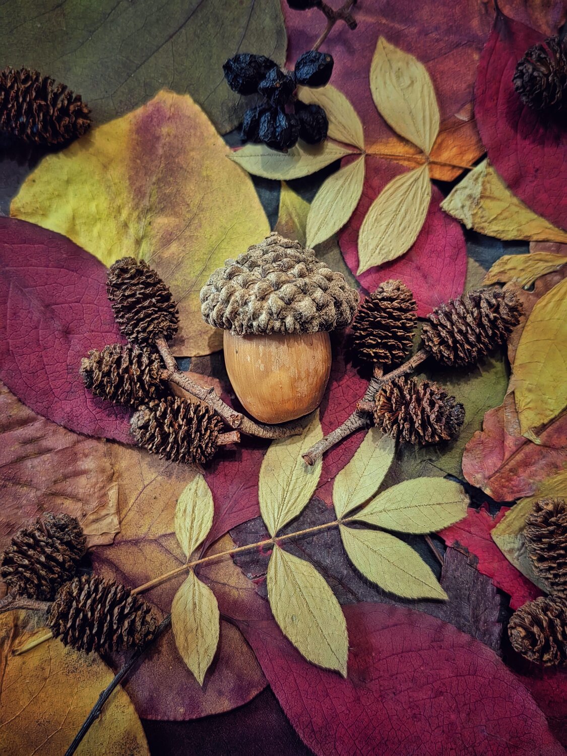 Photo #14112932