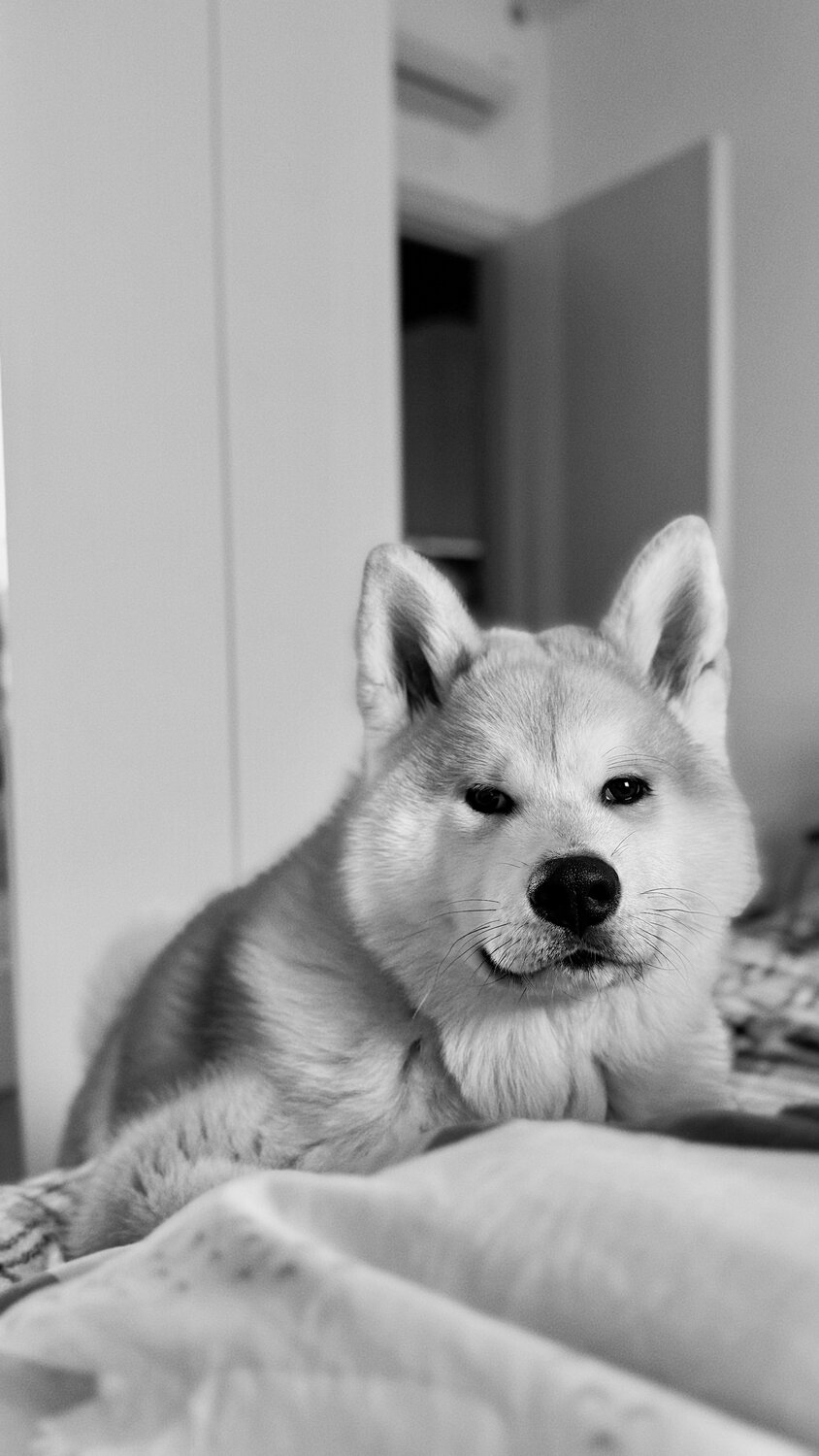 Photo #14112957