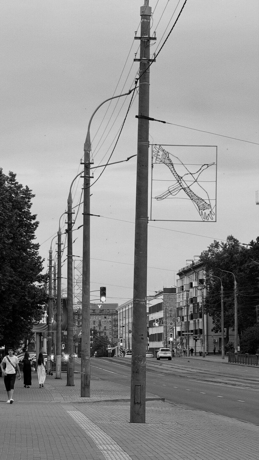 Photo #14112959
