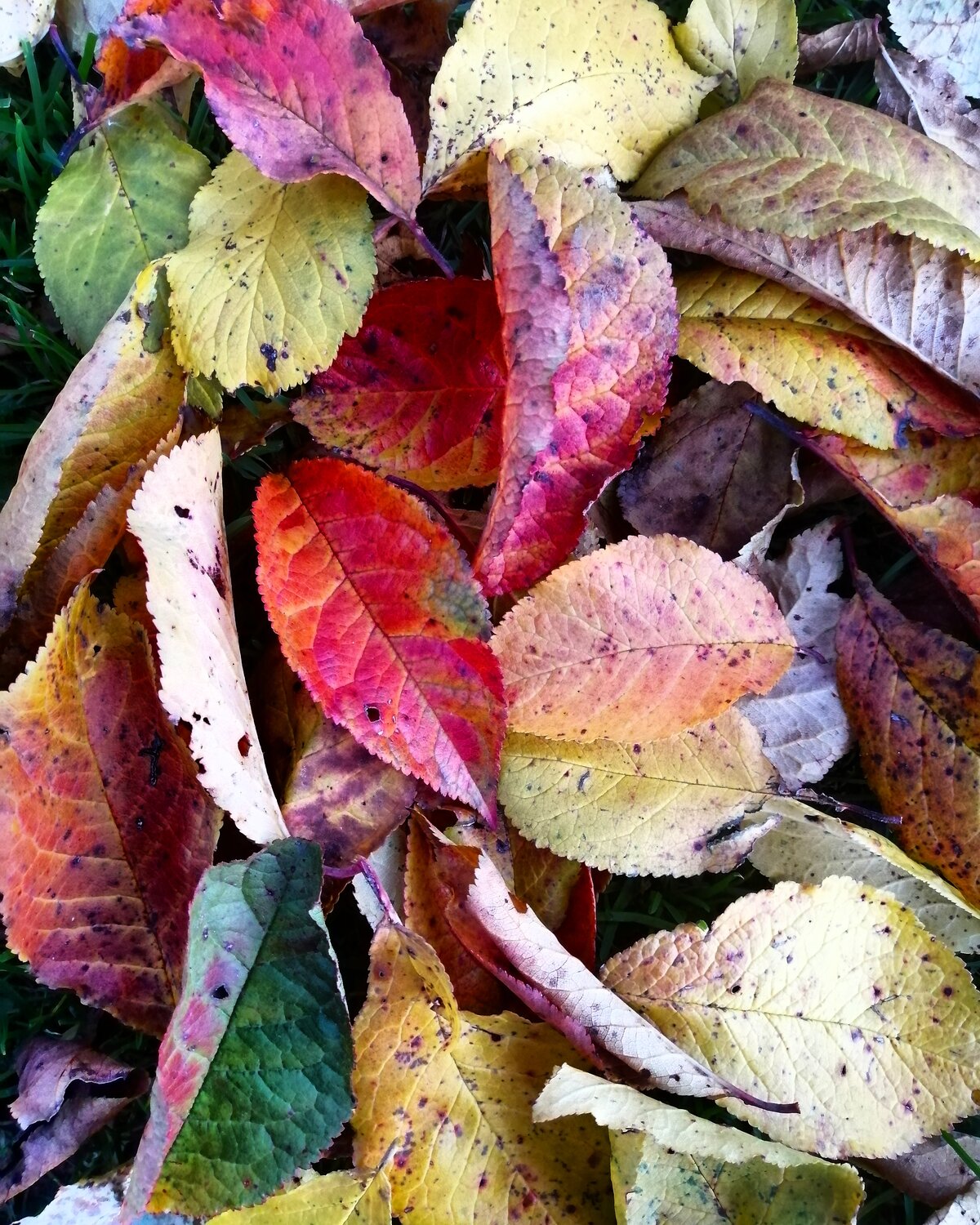 Photo #14112962