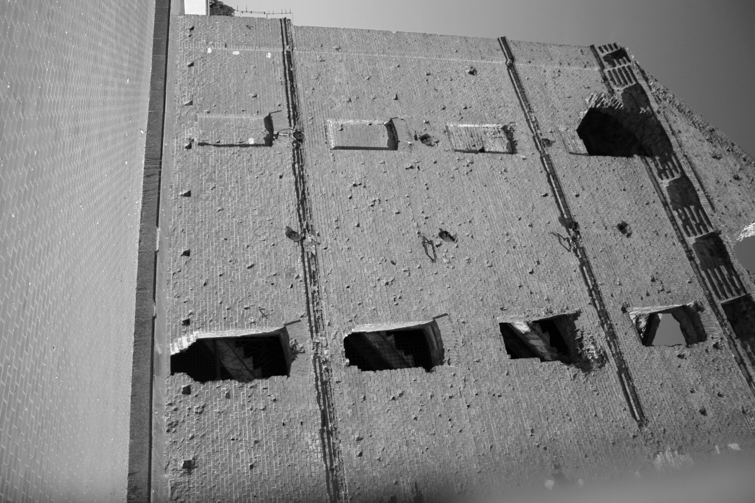 Photo #14112966