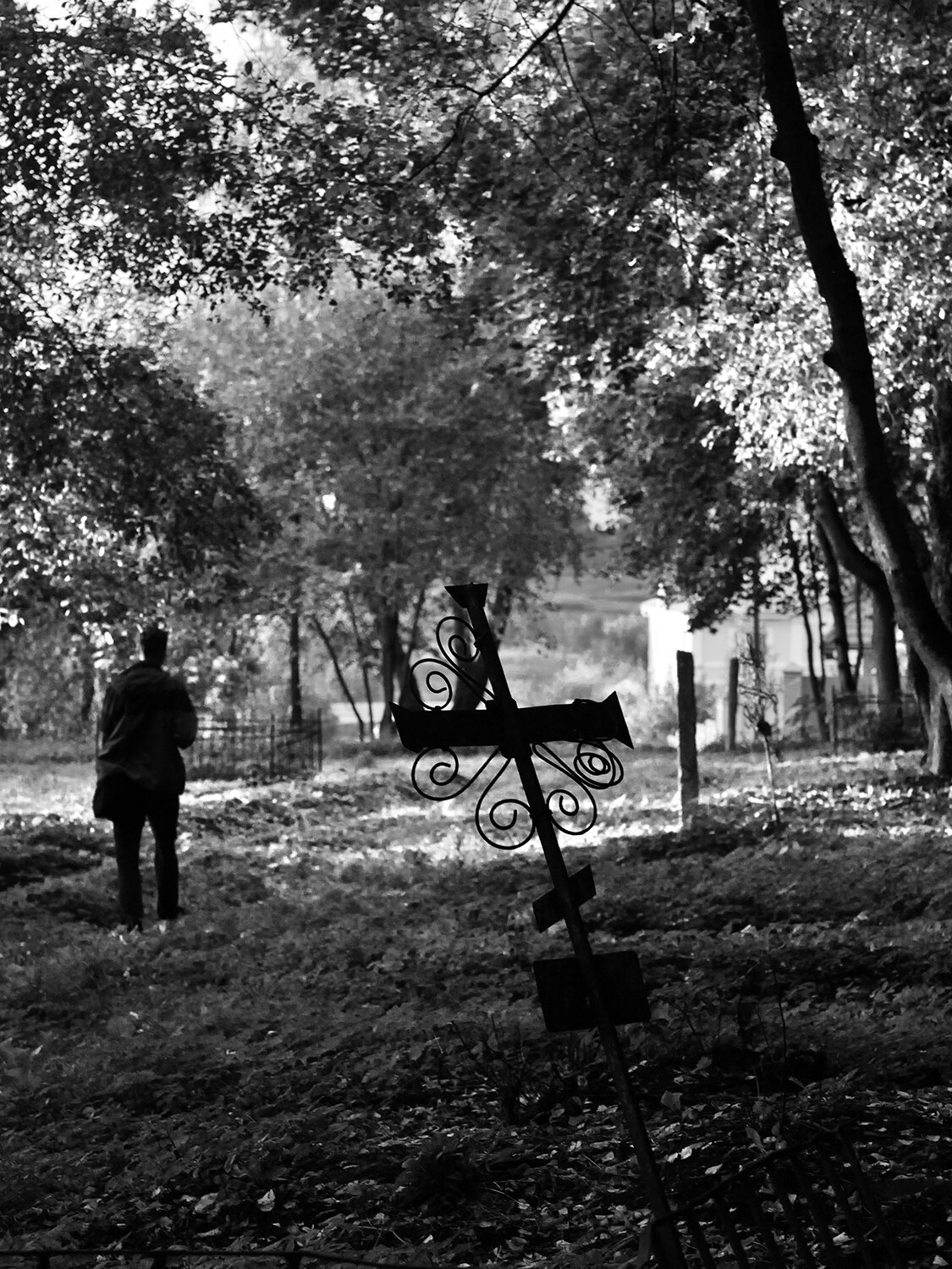 Photo #14113009