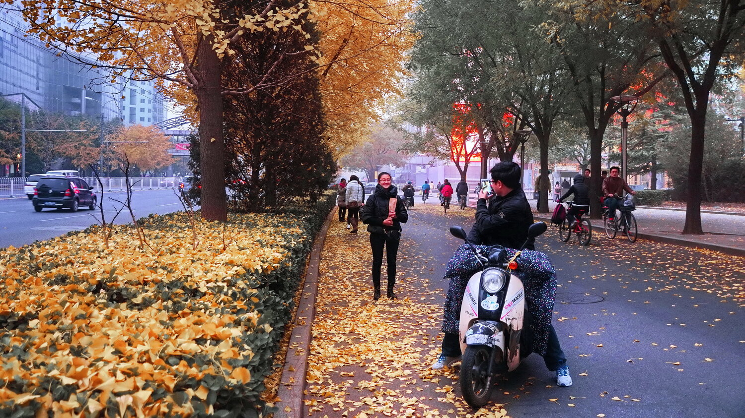 Photo #14113063