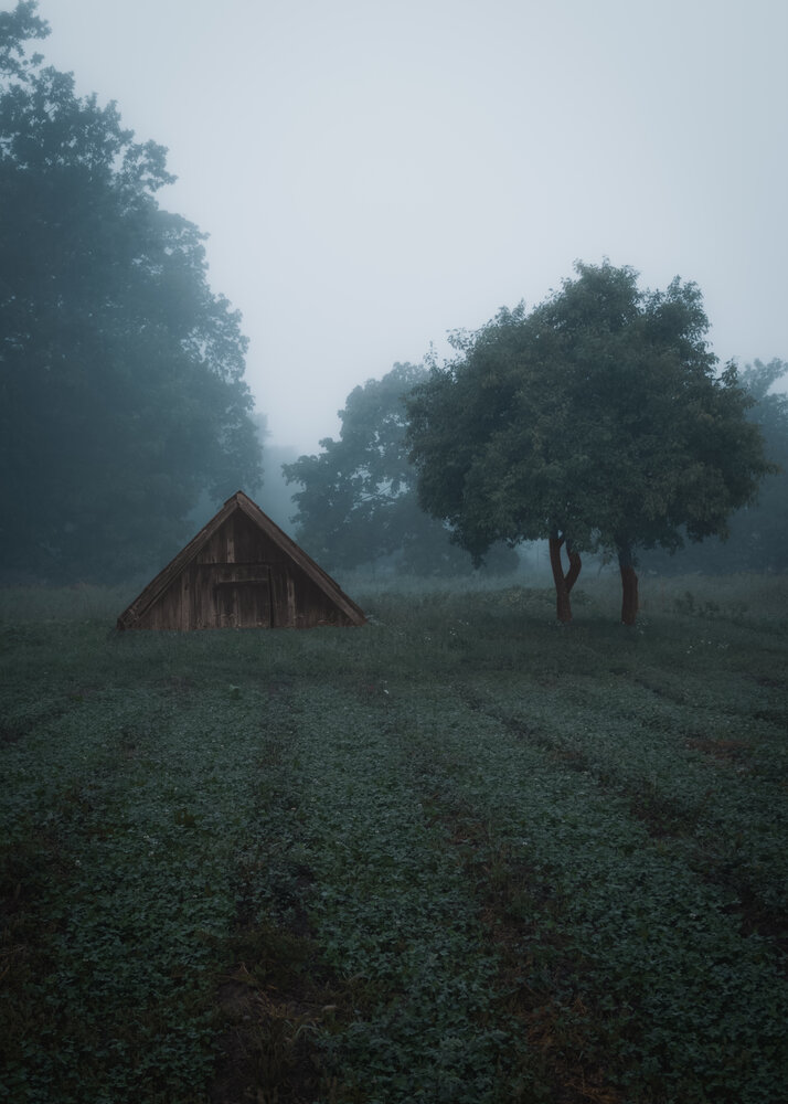 Фотография автора Геннадий Ломеко