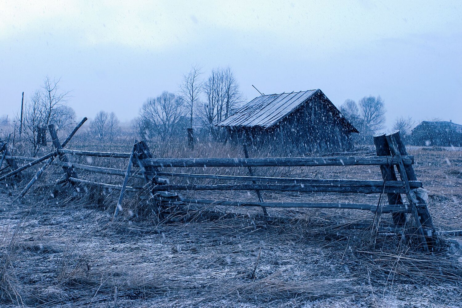 Photo #14113075