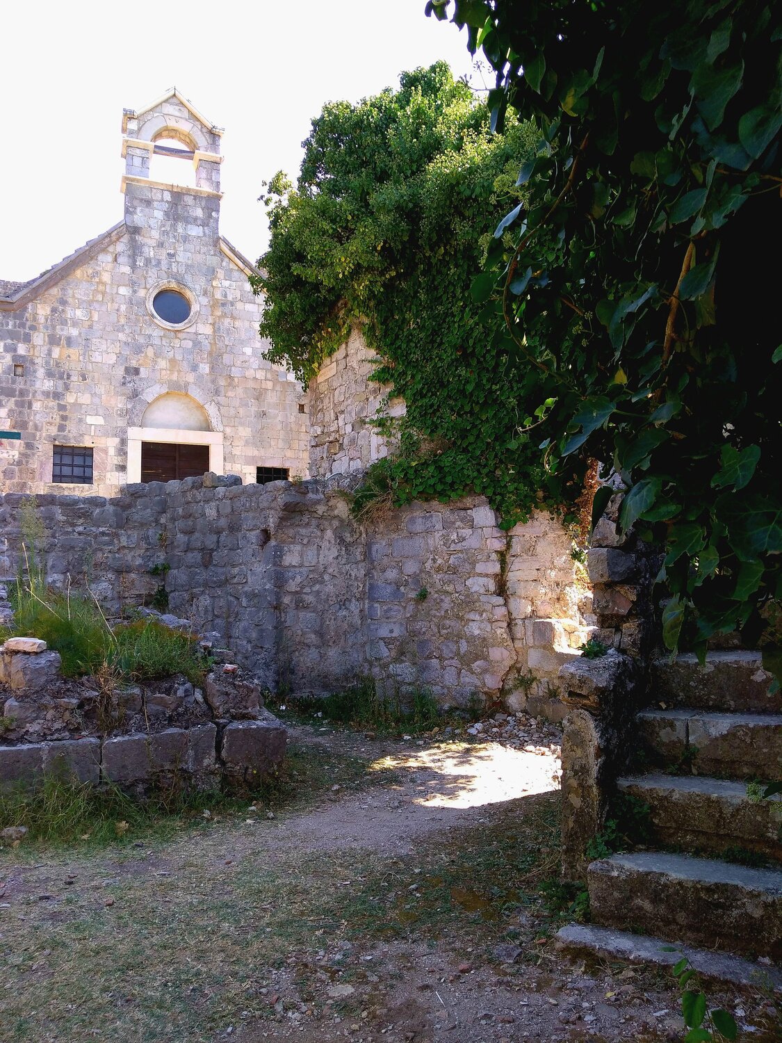 Photo #14113277