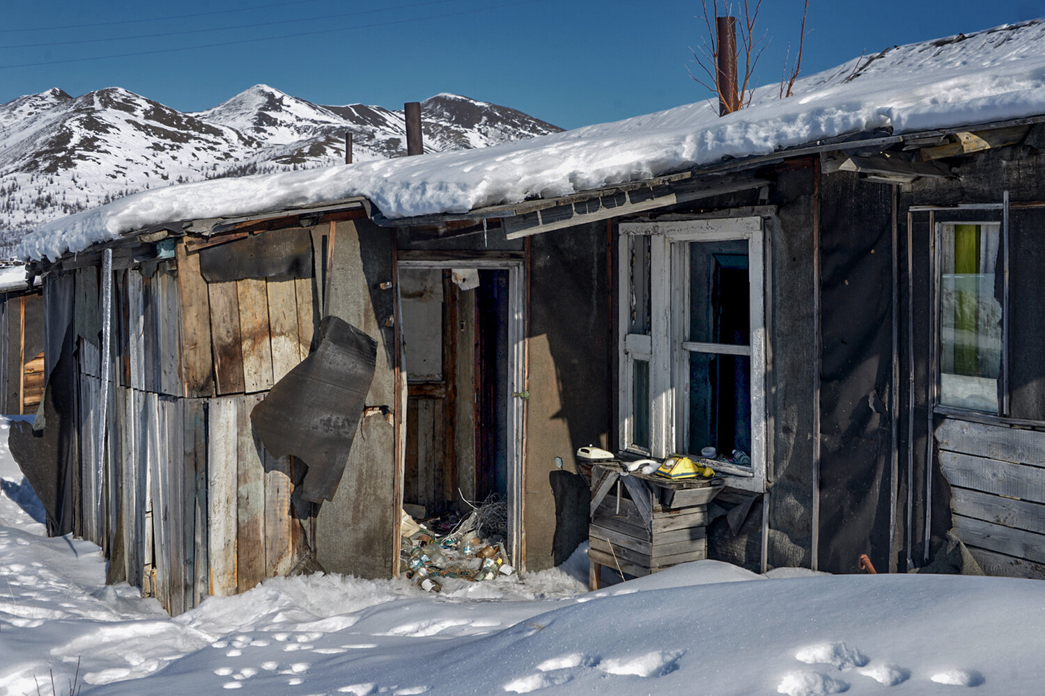 Photo #14113279