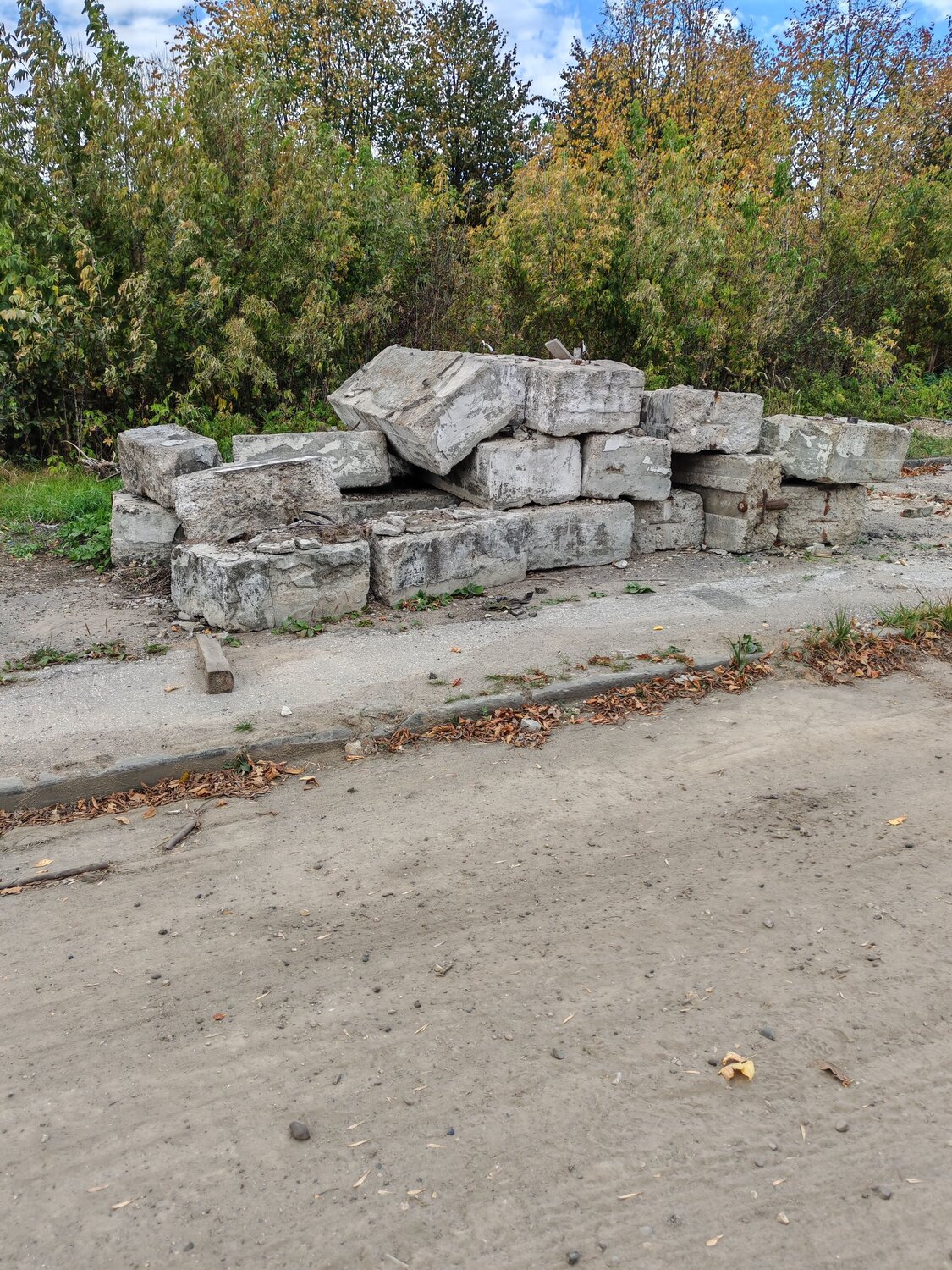 Photo #14113329