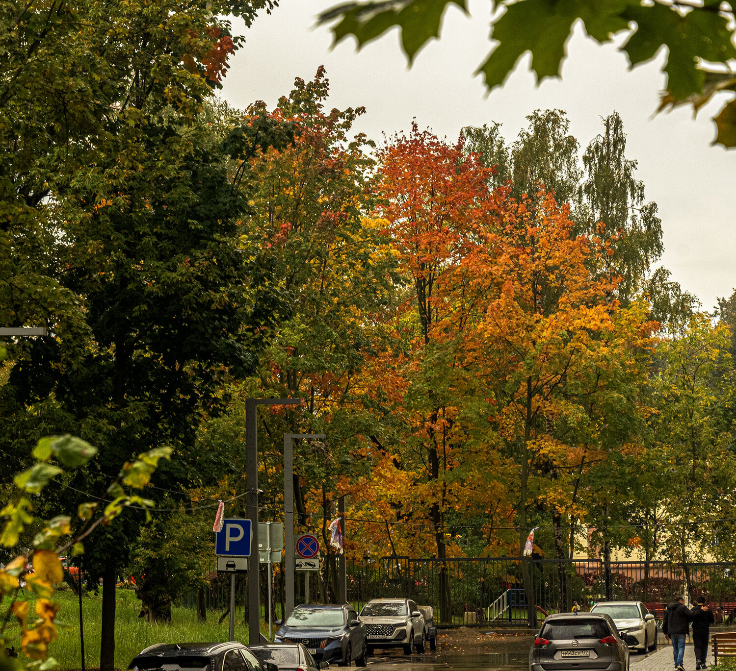 Photo #14113336