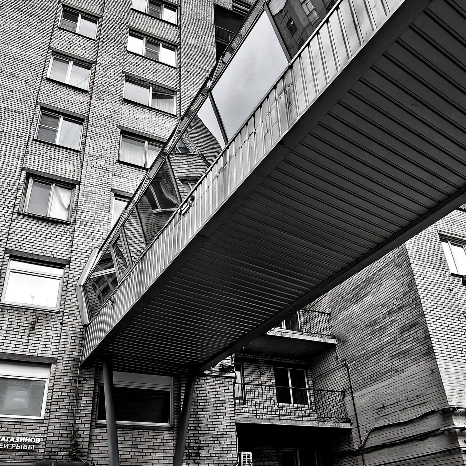 Photo #14113390