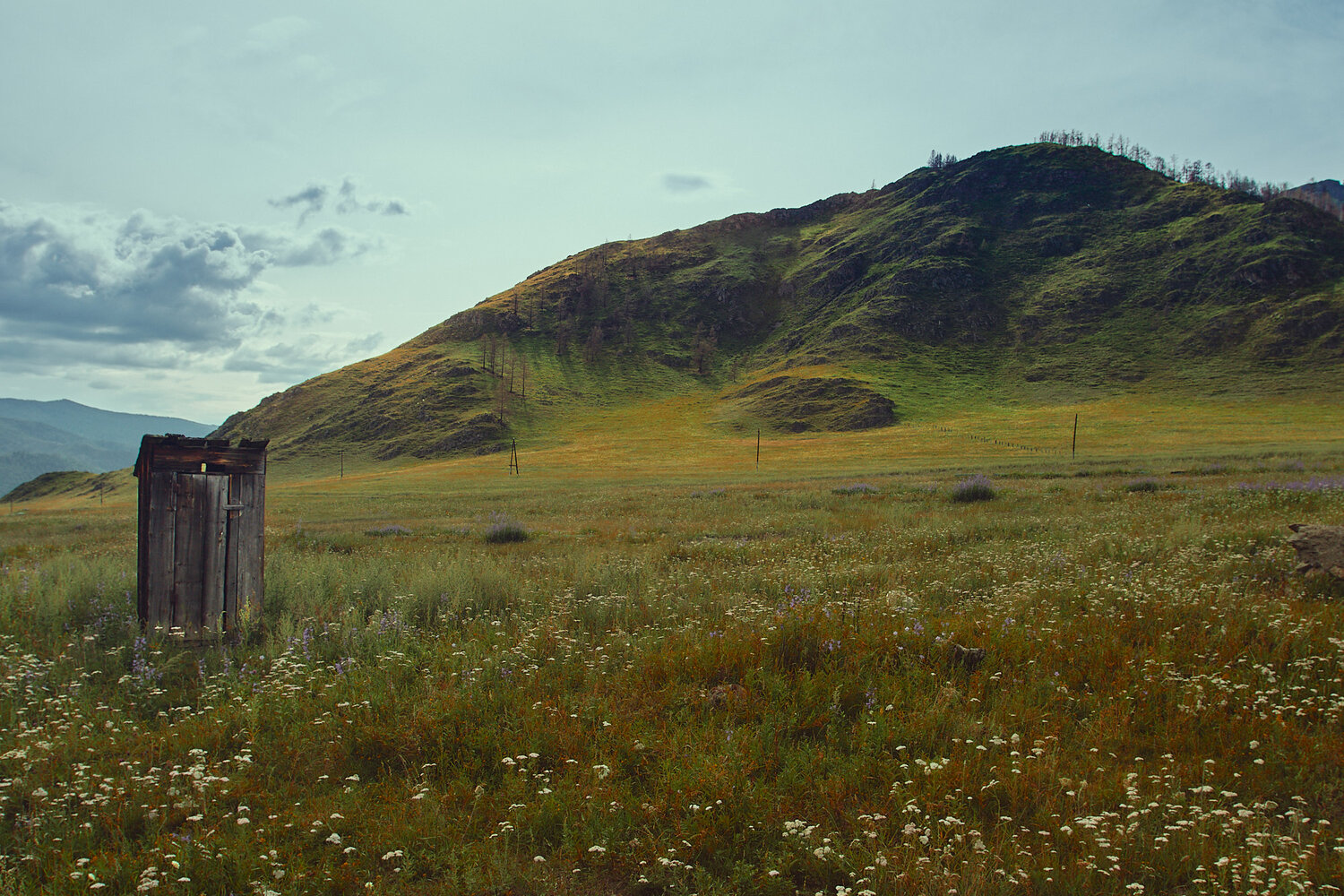 Photo #14113450