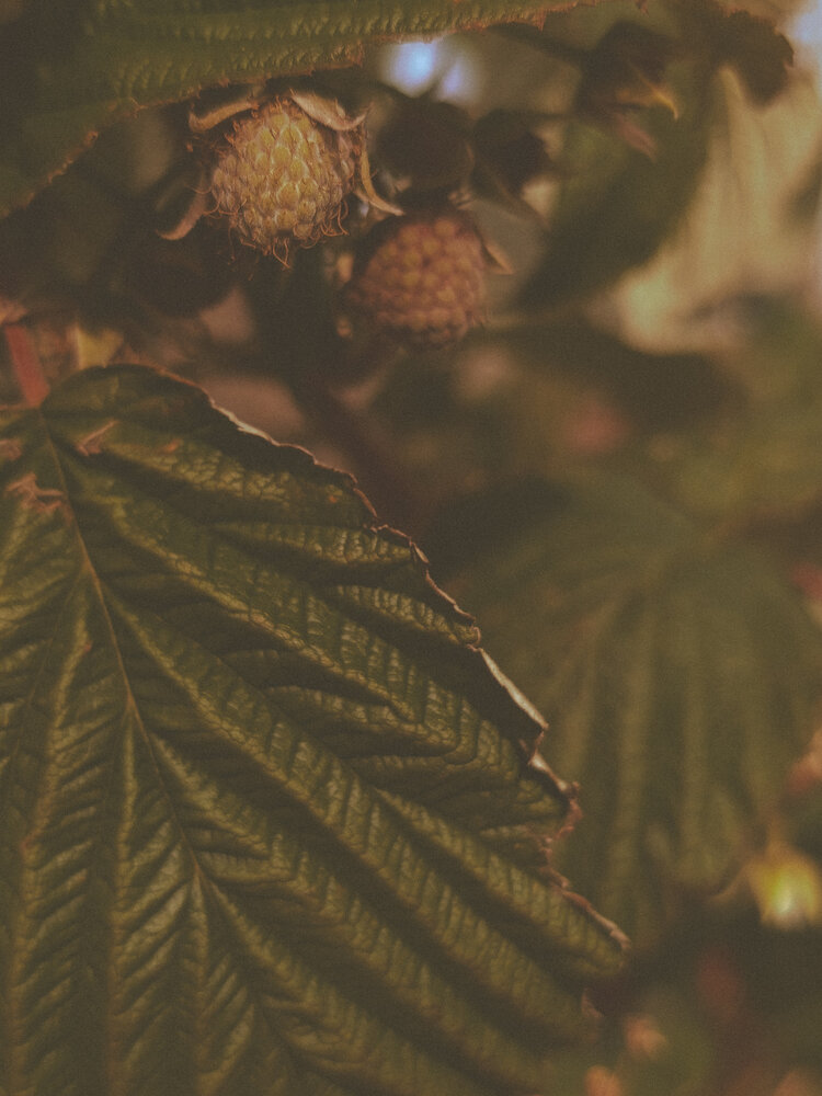 Photo #14113580