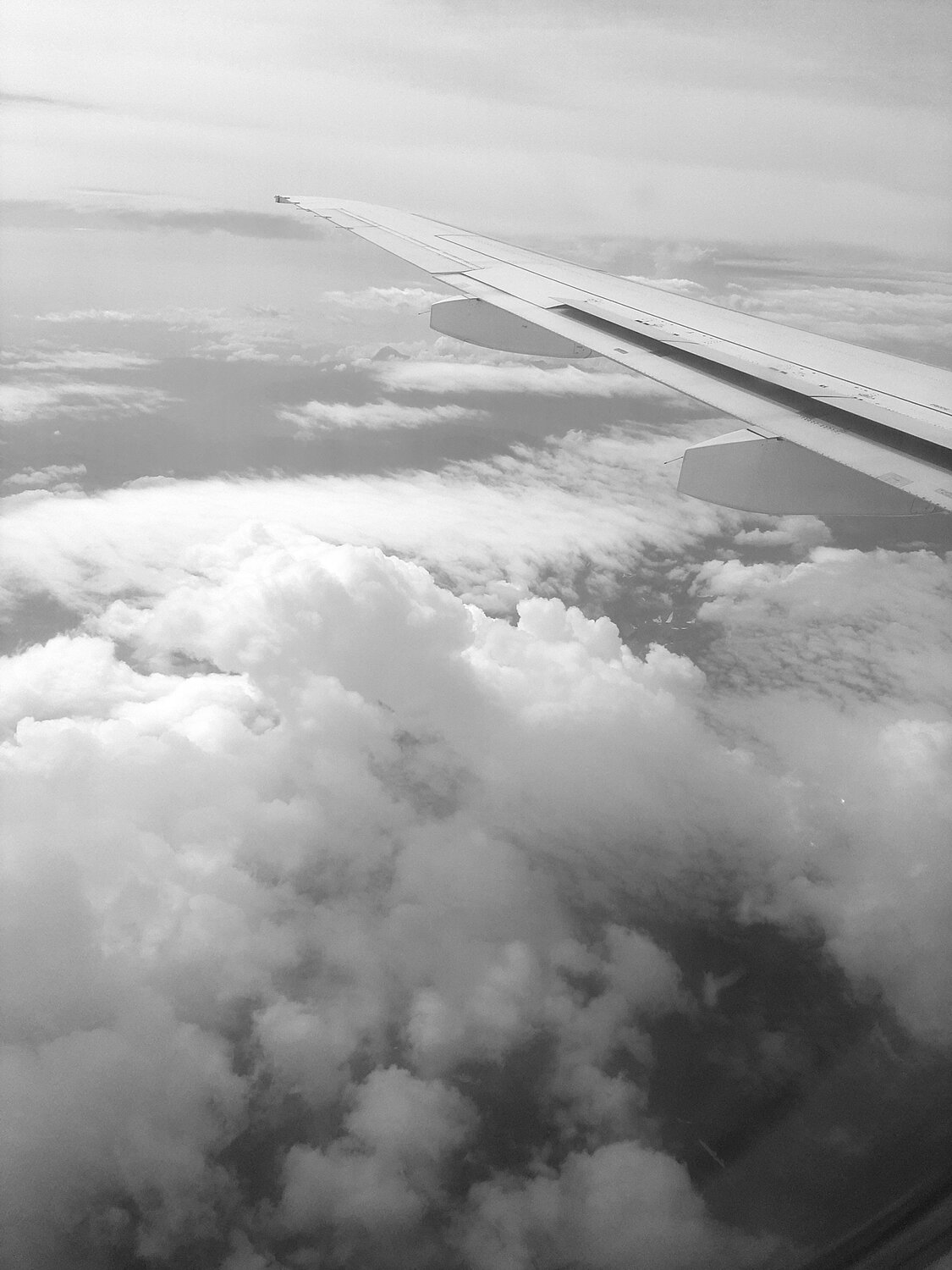 Photo #14113724