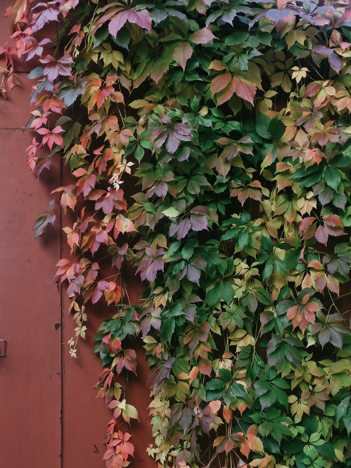 Photo #14113755