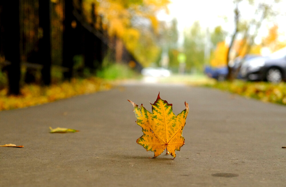 Photograph by Елена Маракулина