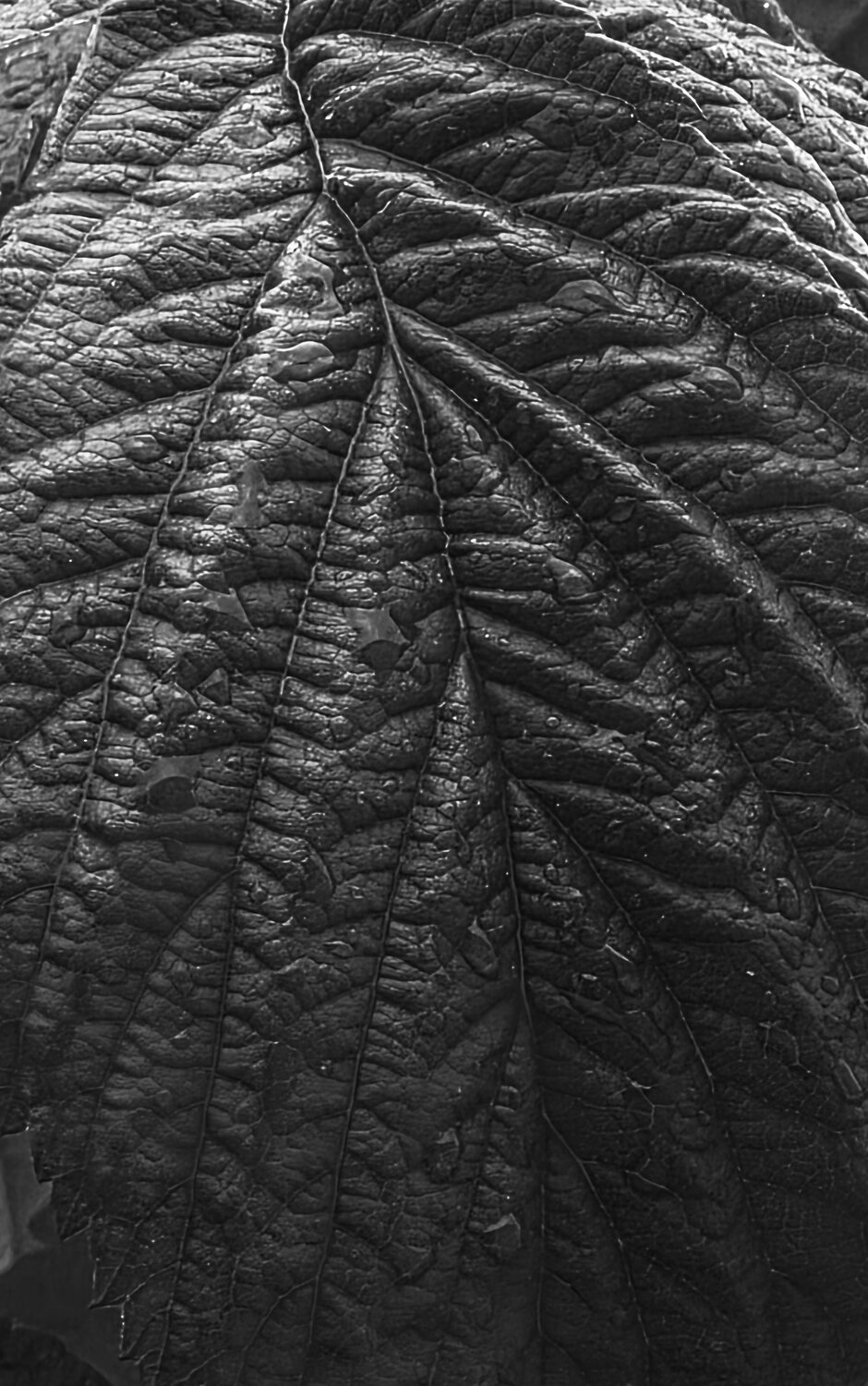 Photo #14113929