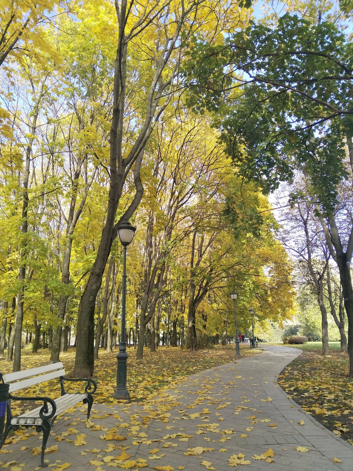 Photo #14114086