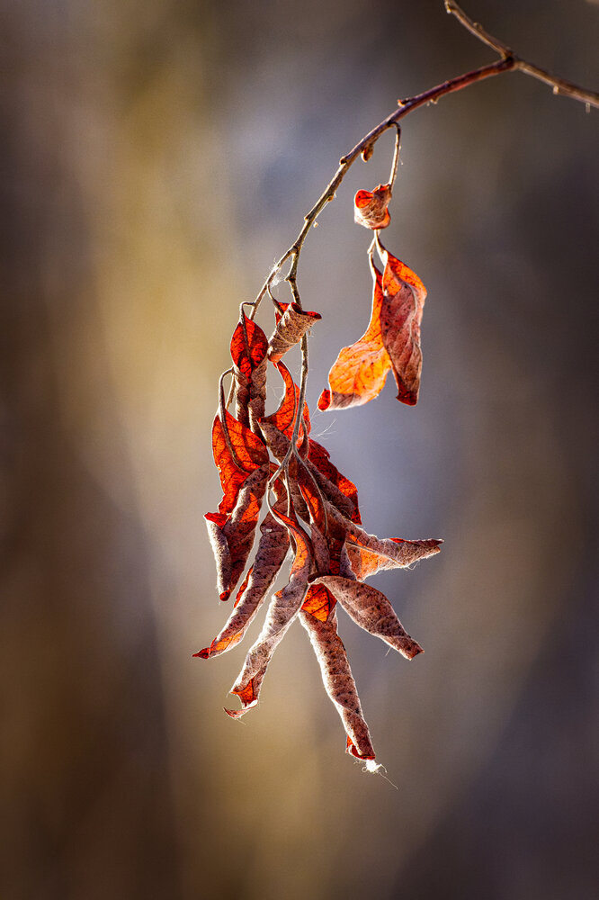 Photograph by Леша Родин