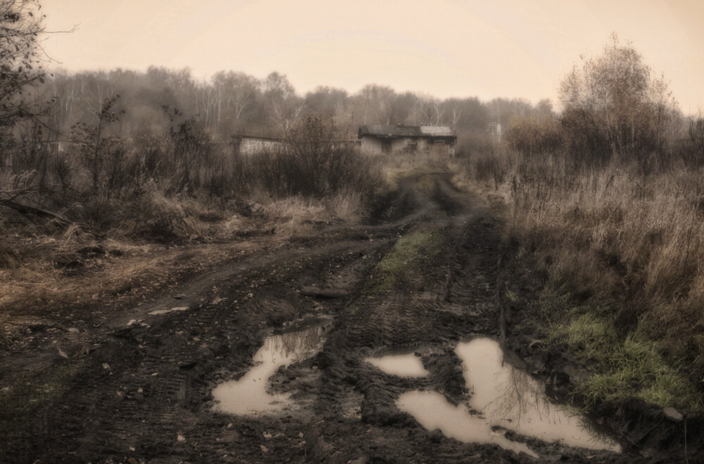 Photograph by Олег Тыркин